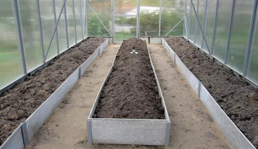 Почва в теплице: менять или улучшать? Советы по восстановлению плодородия - АГРОНОВОСТИ